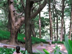 -七曲山风景区