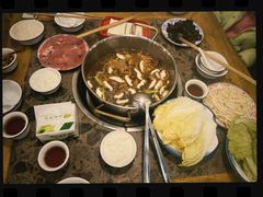 -乳仔牛牦牛汤锅 烤羊排(松潘古城店)