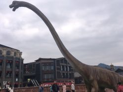 点击看大图 -恐龙探索乐园(磁器口店)