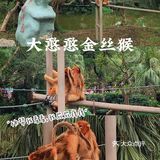 深圳|假日出游·野生动物园里的憨憨们在等你👋🏻
