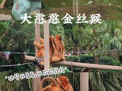 -深圳野生动物园