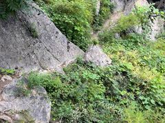 -阳台山自然风景区