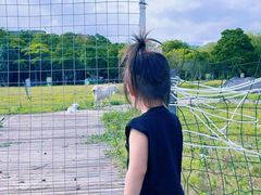 -乌石塘景区