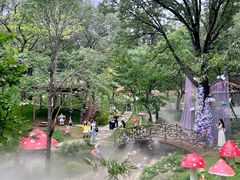 -沂蒙山旅游区云蒙景区(蒙山国家森林公园)