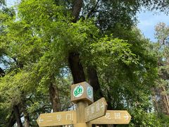 -黑龙江省森林植物园