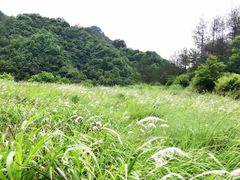 -罗田大别山峡谷漂流