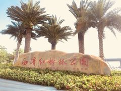 -宝安西湾红树林湿地公园