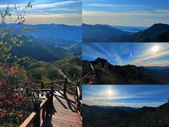-大岭沟猕猴桃谷风景区