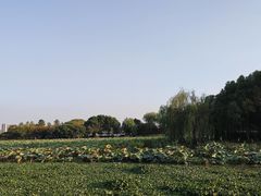 -蠡湖大桥公园