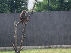 -上方山森林动物世界