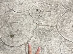 -罗田天堂寨风景区