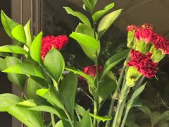 -春暖花开(西溪店)