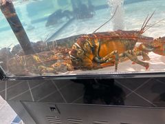 -徐记海鲜(明德门店)