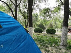 -永定河休闲森林公园