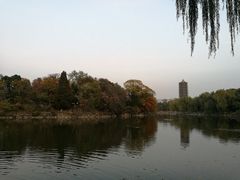 -北京大学-燕南食堂