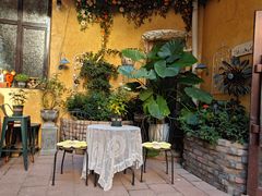 -MIO弥欧洋房西餐厅(中央大街店)