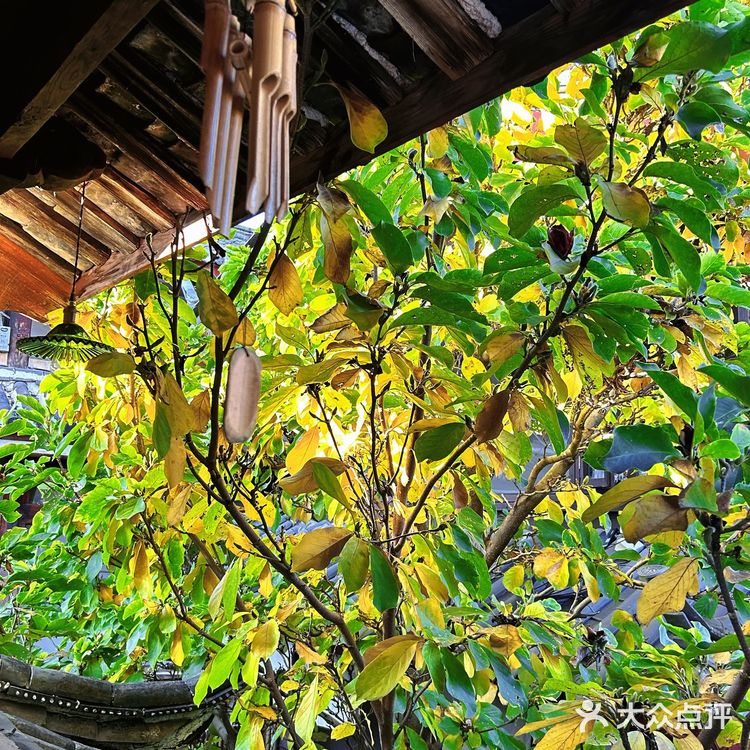 束河古镇复古咖啡店📸-虎牙咖啡馆