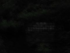 -峡谷浮石林景区