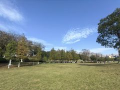 -滨湖塘西河公园