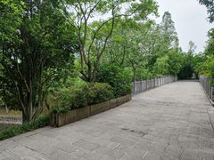 -合肥三国新城遗址公园