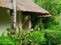 -三亚珠江南田温泉度假区