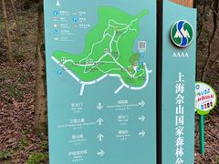 -上海佘山国家森林公园天马山园