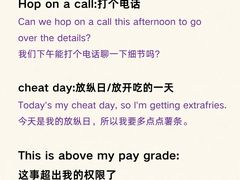 -JT PREP国际学科课程·IB·AP·Alevel(陆家嘴校区)