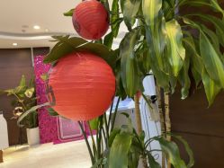 -洁铭新加坡医美