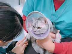 -仁普宠物诊所(住友昌盛新苑店)