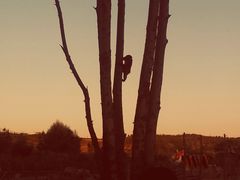 -鄂尔多斯野生动物园