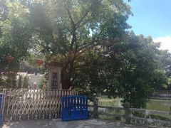 -芦苞胥江祖庙