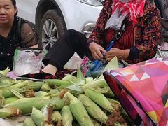 -党河风情线国家水利风景区