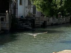 -观桥阁(锦溪店)