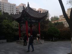 -莲湖公园
