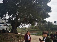 -凯谊·世纪广场(桃源北路店)