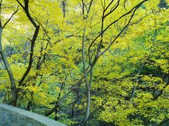 -北京上方山国家森林公园
