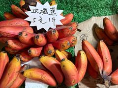 -曼阁市场水果批发市场