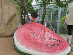 -南通洲际绿博园