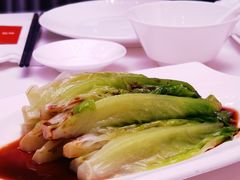 白灼生菜-和苑·精致粤菜(珠江新城店)