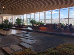 -Seesaw Coffee(朝阳大悦城店)