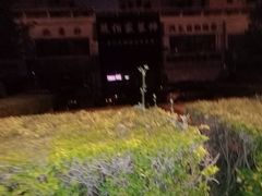 -绿岛汤泉韩式休闲会所