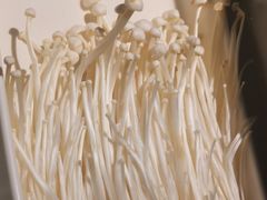 -半天妖烤鱼(东方新天地店)