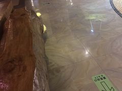 -纽斯桑拿会所(天山店)