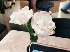 -gaga(深圳福田星河COCO Park店)