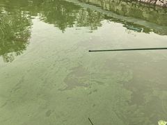 -红栌温泉山庄生态美食餐厅