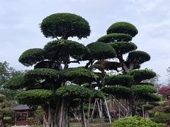 -南宁南湖公园