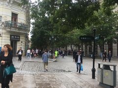 -人民防洪胜利纪念塔