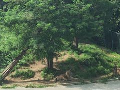 -大连森林动物园