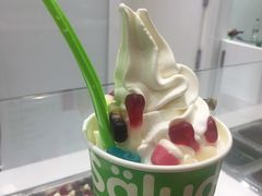 -Salud撒露欧洲冻酸奶(蓝色港湾店)