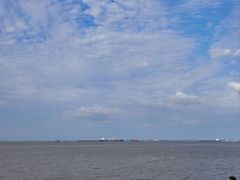 -上海滨江森林公园